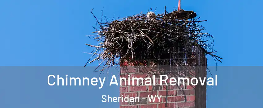  Chimney Animal Removal Sheridan - WY