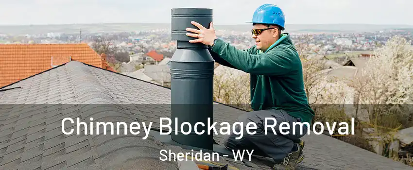  Chimney Blockage Removal Sheridan - WY