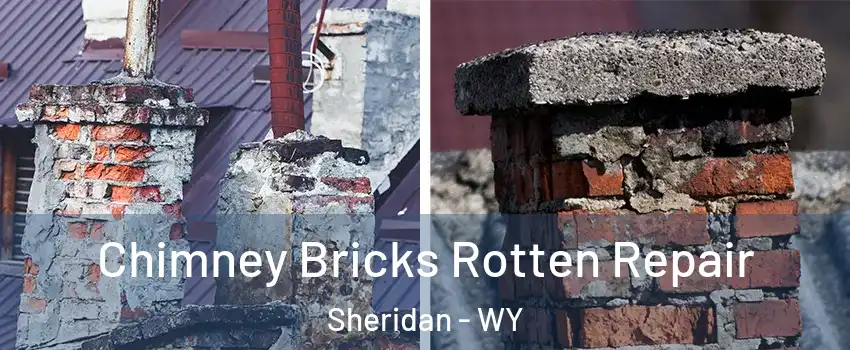  Chimney Bricks Rotten Repair Sheridan - WY