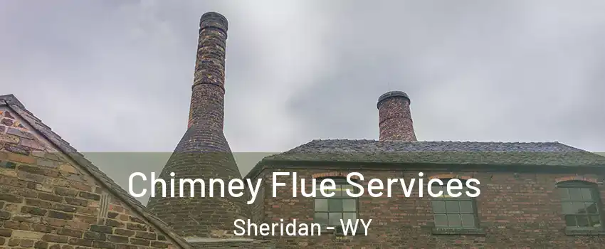  Chimney Flue Services Sheridan - WY