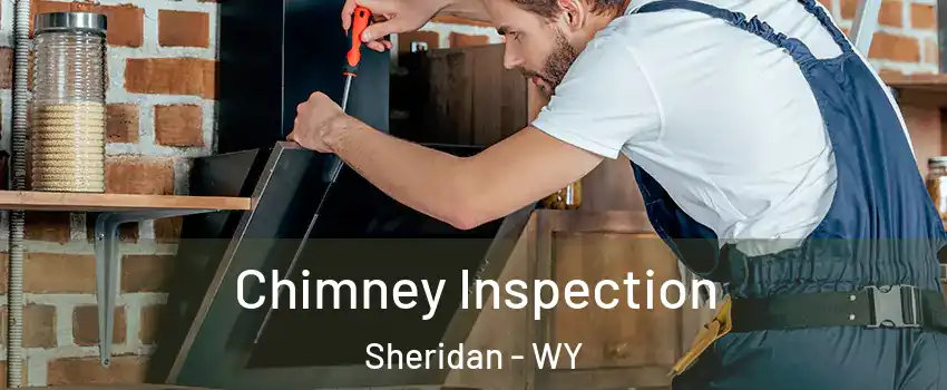  Chimney Inspection Sheridan - WY