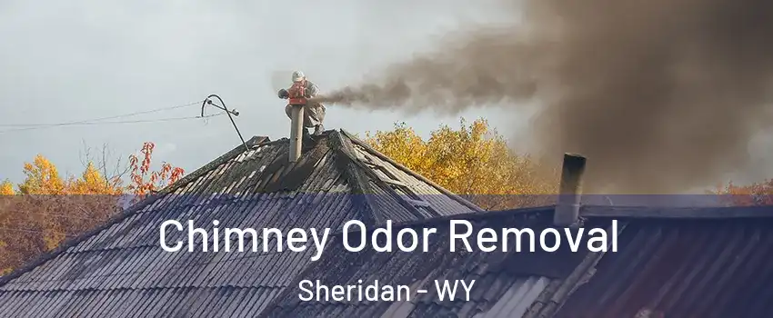 Chimney Odor Removal Sheridan - WY
