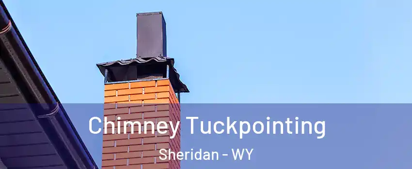  Chimney Tuckpointing Sheridan - WY