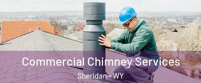  Commercial Chimney Services Sheridan - WY