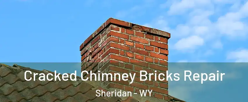  Cracked Chimney Bricks Repair Sheridan - WY
