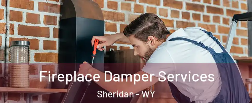  Fireplace Damper Services Sheridan - WY
