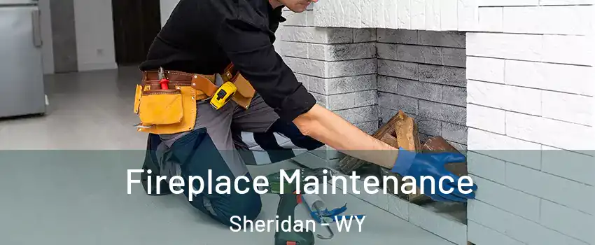  Fireplace Maintenance Sheridan - WY
