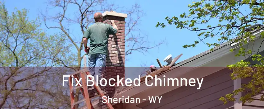  Fix Blocked Chimney Sheridan - WY