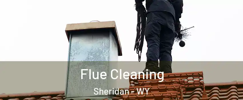  Flue Cleaning Sheridan - WY